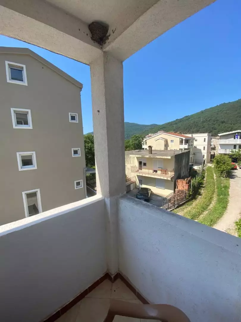 Flat 33m² in Montenegro, Budva. Priced at 65000€ rent photo-7