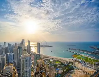 Buy in UAE for 3695789€