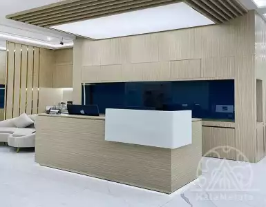 Buy in UAE for 824061€