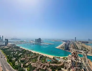 Buy in UAE for 1036319€