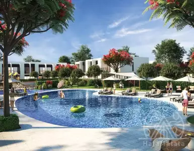 Buy in UAE for 799090€