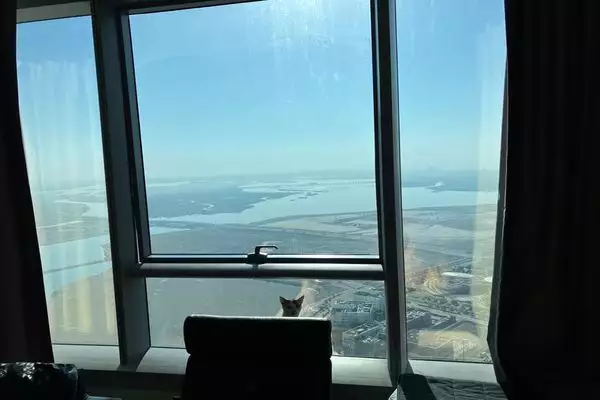 Flat 156m² in UAE, Abu Dhabi. Priced at 574346€ rent photo-1