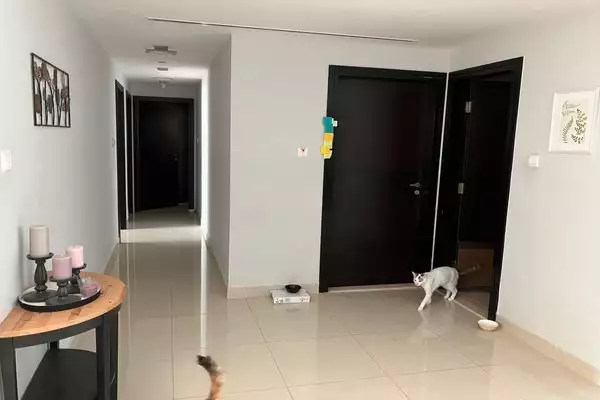 Flat 156m² in UAE, Abu Dhabi. Priced at 574346€ rent photo-7