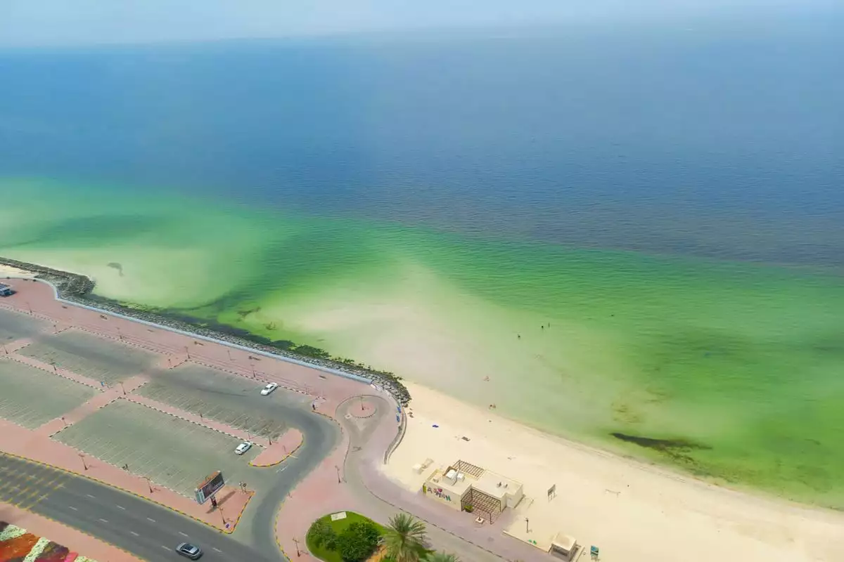 Flat 312m² in UAE, Ajman. Priced at 449488€ rent photo-17