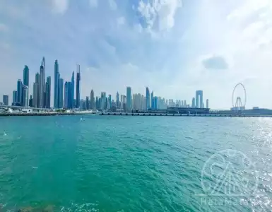 Buy in UAE for 1318392€