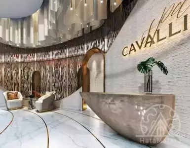 Buy in UAE for 8458114€