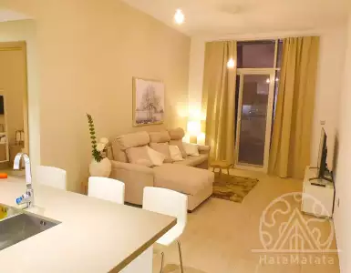 Buy in UAE for 374263€