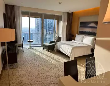 Buy in UAE for 536888€