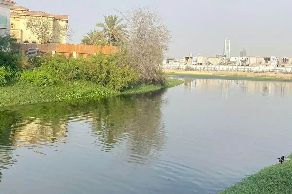 Villa 557m² in UAE, Dubai. Priced at 3371159€ rent photo-5