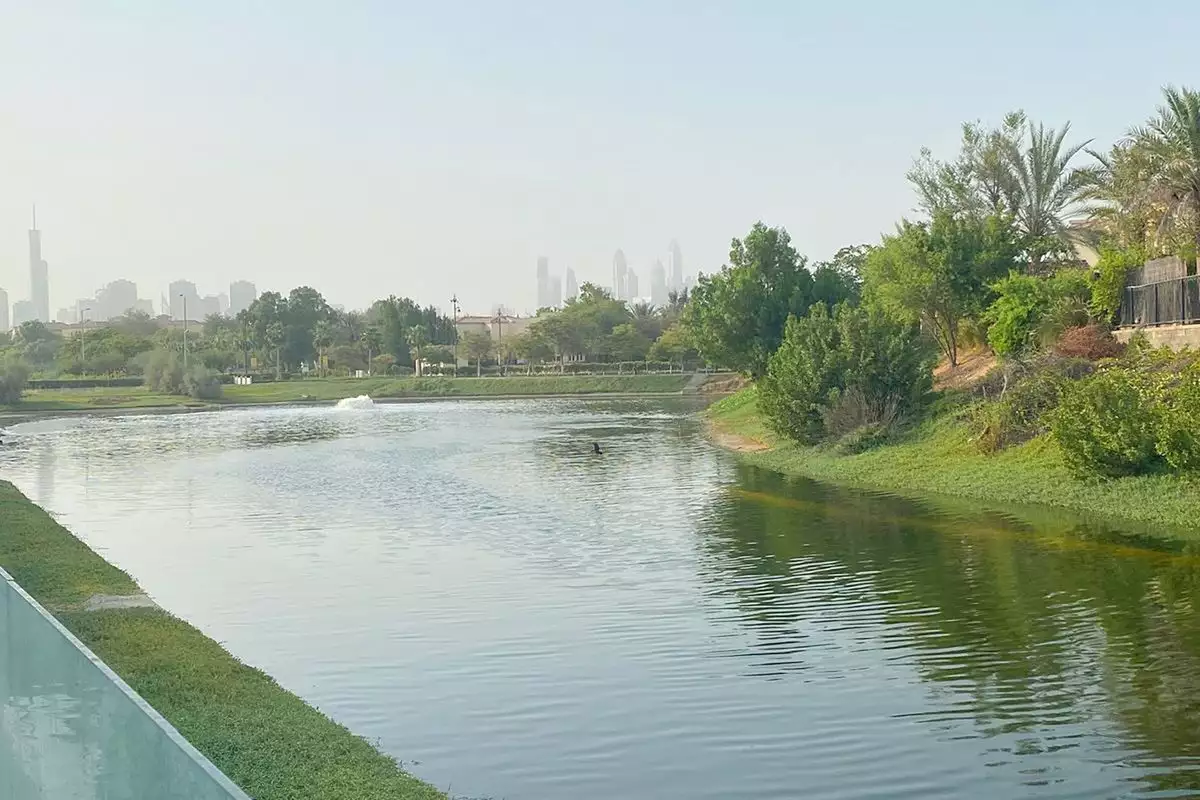 Villa 557m² in UAE, Dubai. Priced at 3371159€ rent photo-6