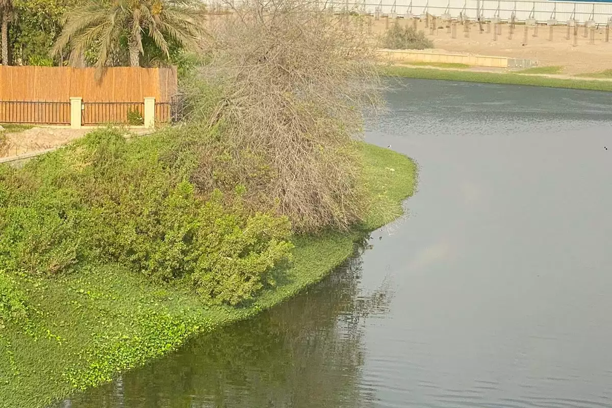 Villa 557m² in UAE, Dubai. Priced at 3371159€ rent photo-9