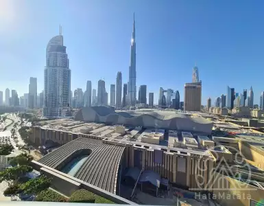 Buy in UAE for 886490€