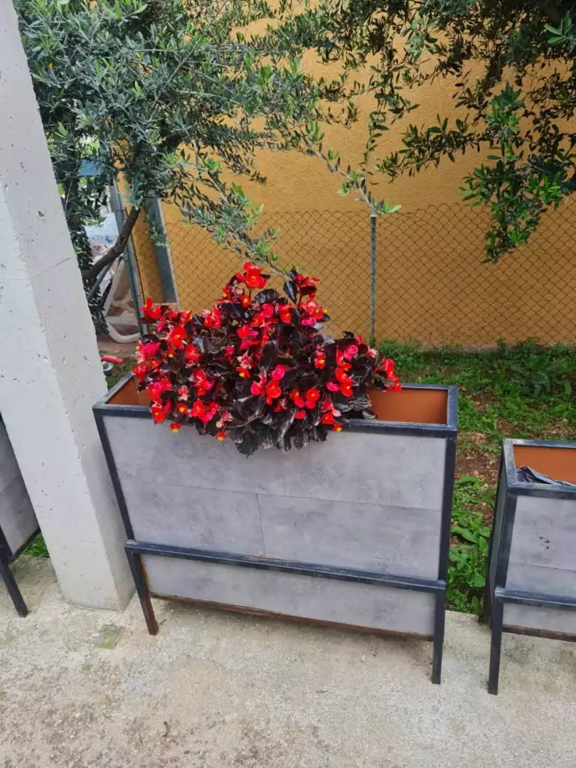House 65m² in Montenegro, Dobra Voda. Priced at 165000€ rent photo-14
