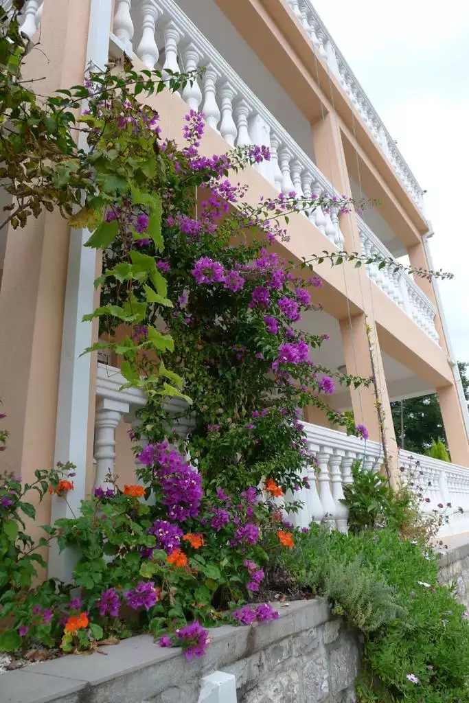 House 178m² in Montenegro, Baosici. Priced at 270000€ rent photo-2