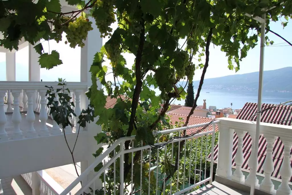 House 178m² in Montenegro, Baosici. Priced at 270000€ rent photo-3