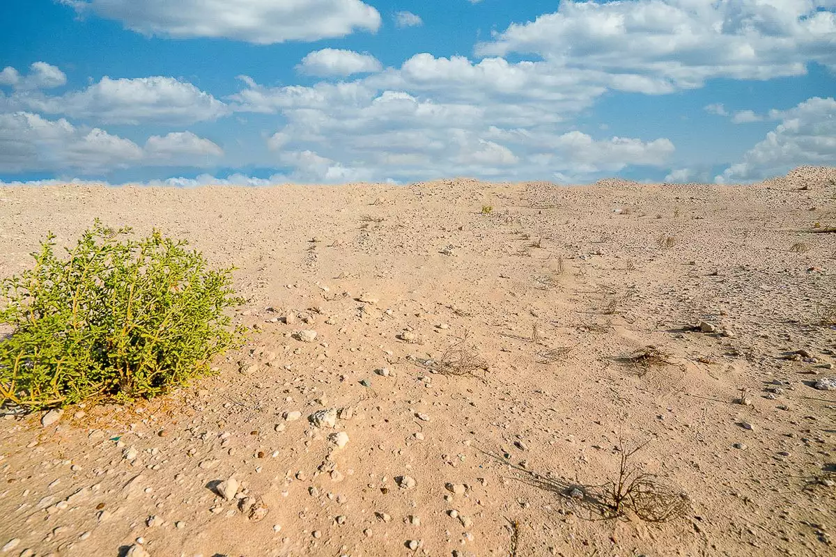 Land 360m² in UAE, Abu Dhabi. Priced at 603231€ rent photo-4
