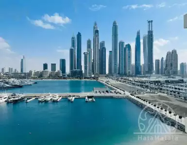 Buy in UAE for 799090€