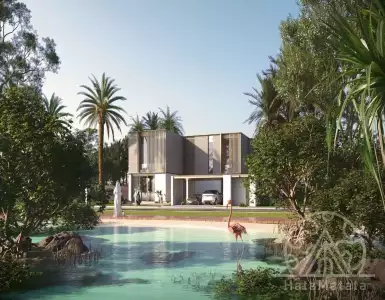 Buy in UAE for 599317€