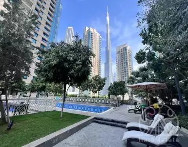Buy in UAE for 499431€
