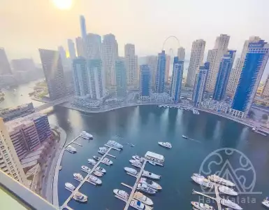 Buy in UAE for 1311006€