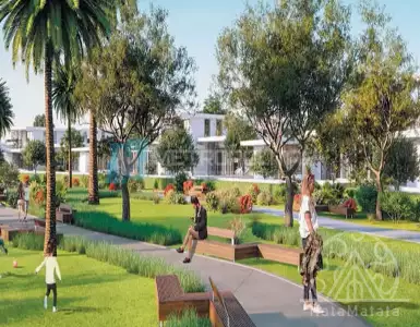 Buy in UAE for 1748008€