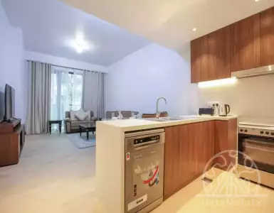 Buy in UAE for 824061€