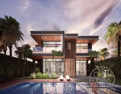 Buy in UAE for 1835409€