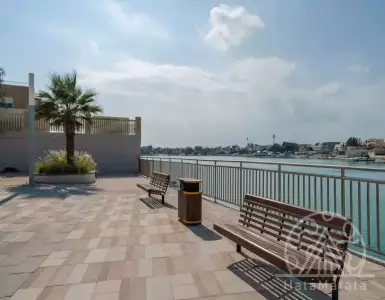 Buy in UAE for 5607844€