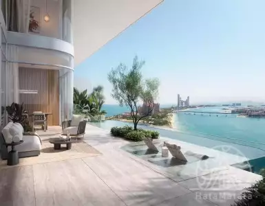 Buy in UAE for 8365469€