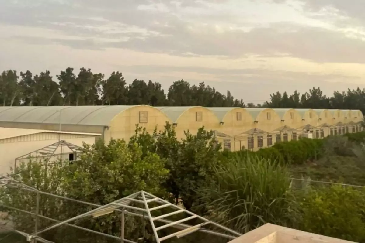 Land 23226m² in UAE, Abu Dhabi. Priced at 2438193€ rent photo-5