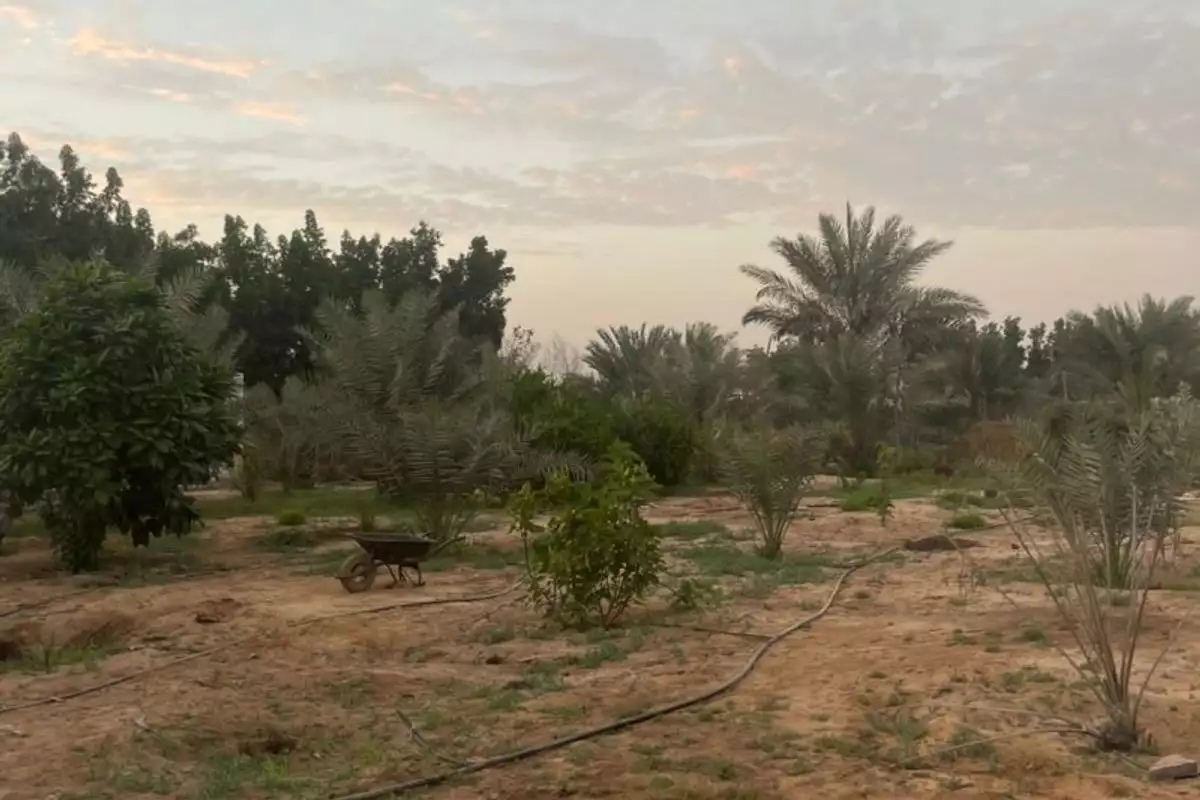 Land 23226m² in UAE, Abu Dhabi. Priced at 2438193€ rent photo-9