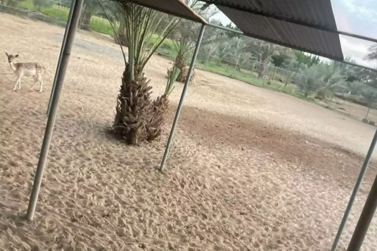 Land 23226m² in UAE, Abu Dhabi. Priced at 2438193€ rent photo-12