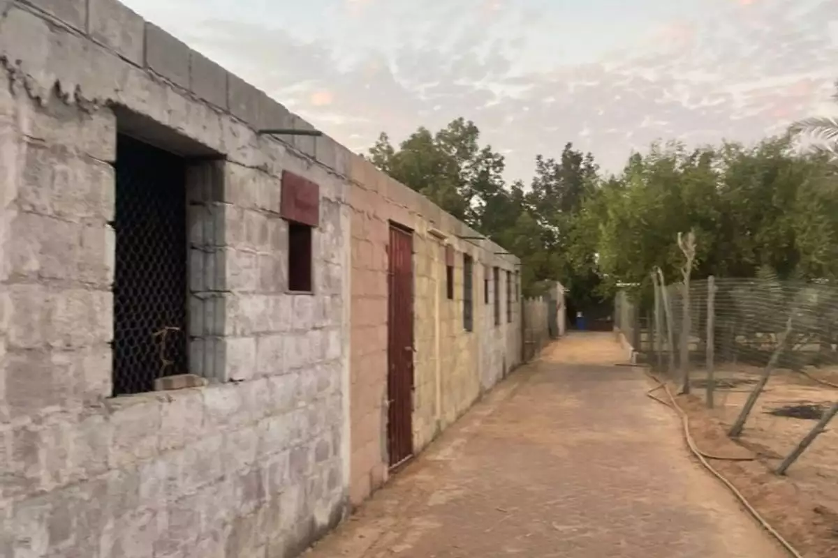 Land 23226m² in UAE, Abu Dhabi. Priced at 2438193€ rent photo-18