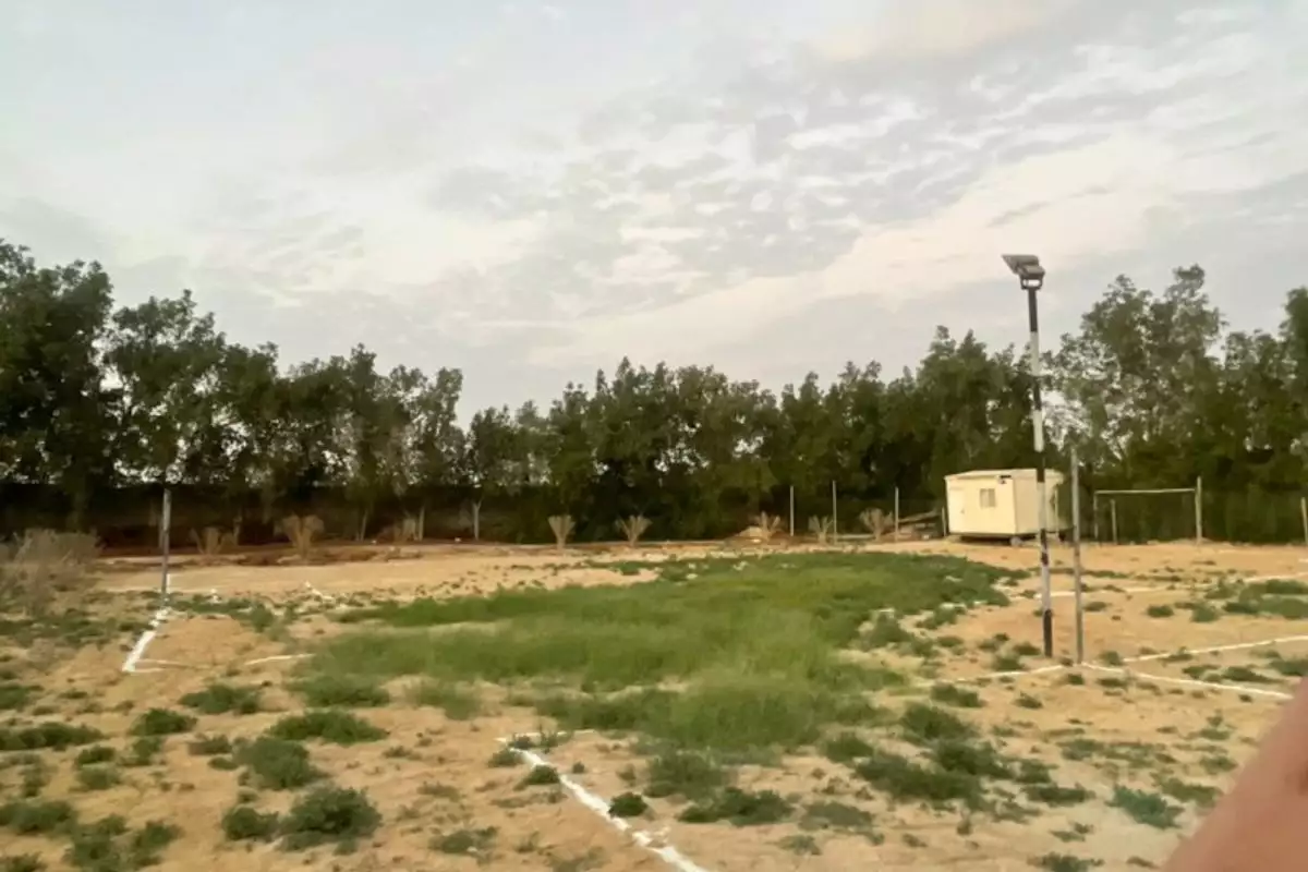 Land 23226m² in UAE, Abu Dhabi. Priced at 2438193€ rent photo-19