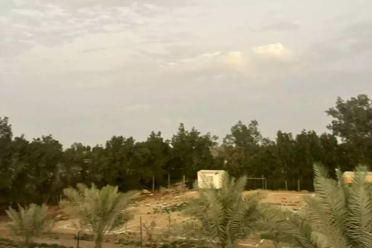 Land 23226m² in UAE, Abu Dhabi. Priced at 2438193€ rent photo-21