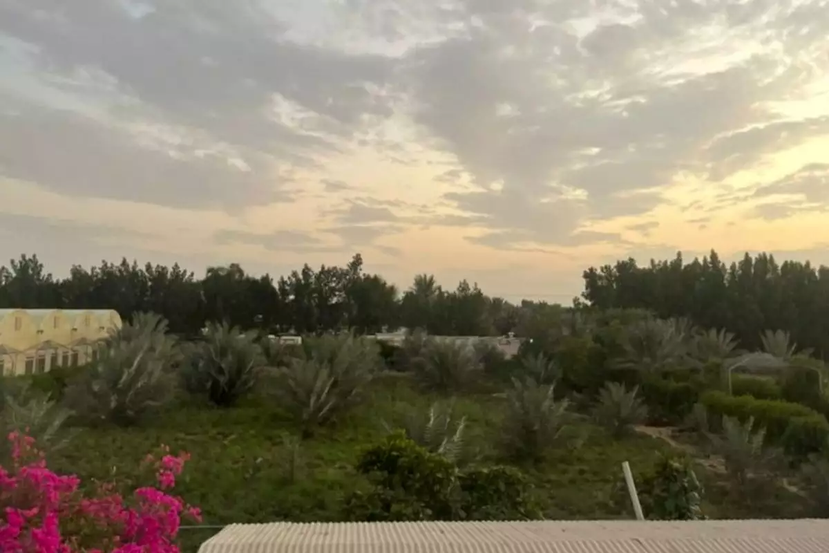 Land 23226m² in UAE, Abu Dhabi. Priced at 2438193€ rent photo-22