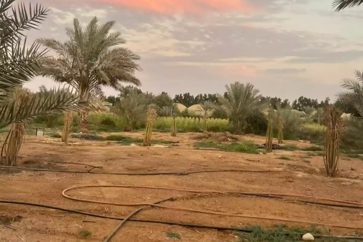 Land 23226m² in UAE, Abu Dhabi. Priced at 2438193€ rent photo-26