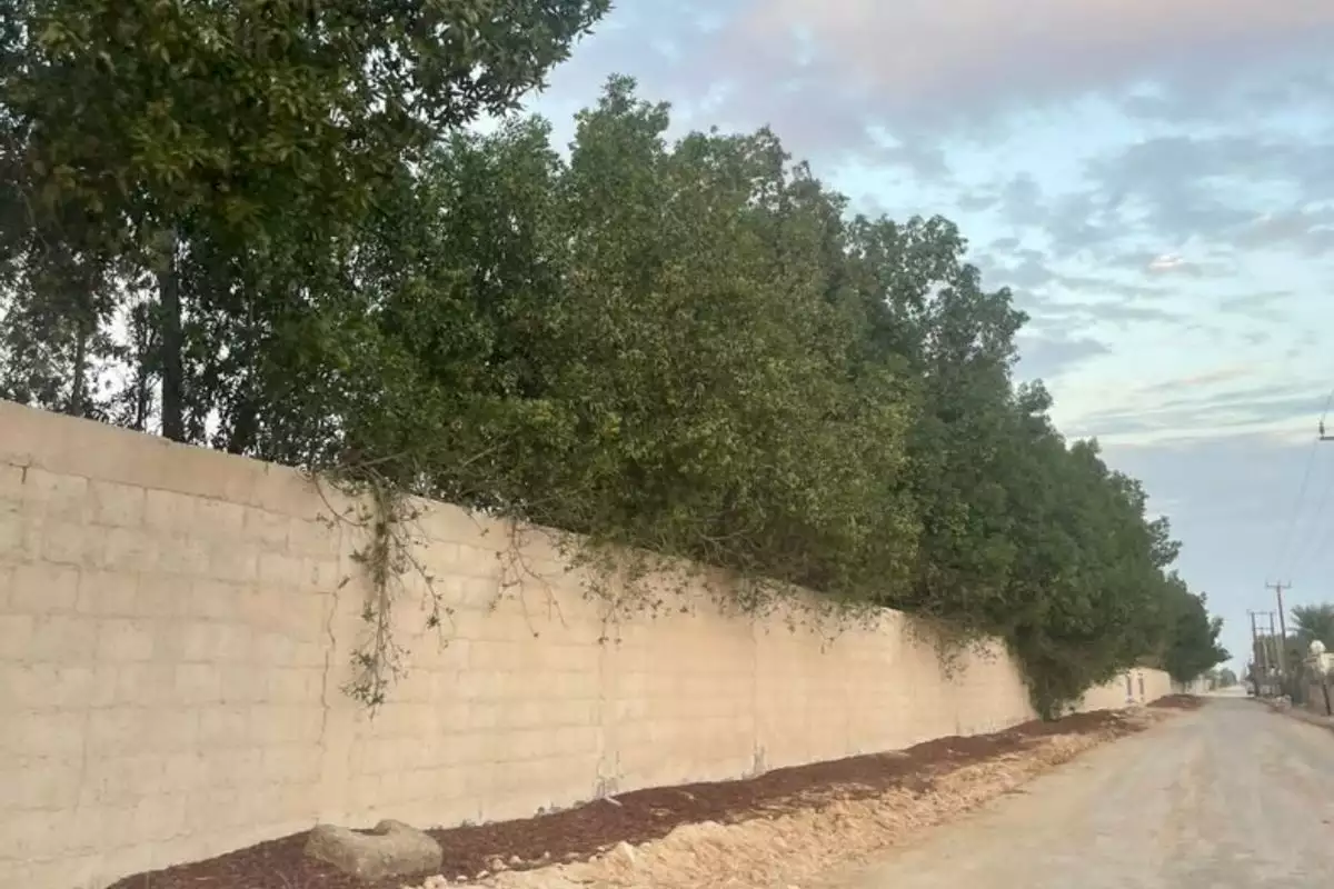 Land 23226m² in UAE, Abu Dhabi. Priced at 2438193€ rent photo-27