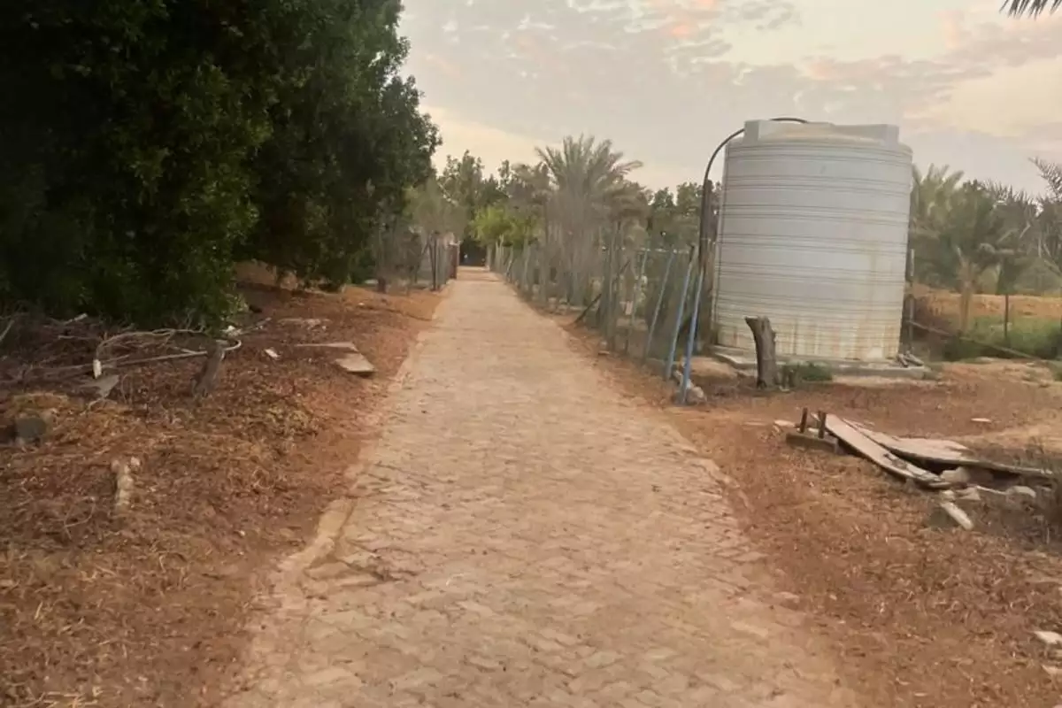 Land 23226m² in UAE, Abu Dhabi. Priced at 2438193€ rent photo-29