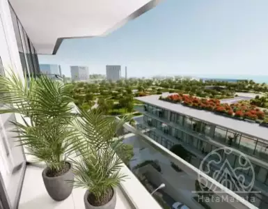 Buy in UAE for 1450725€