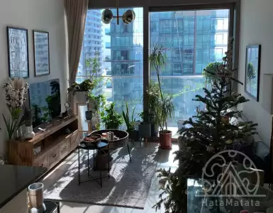 Buy in UAE for 824061€
