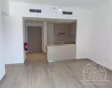 Buy in UAE for 341347€