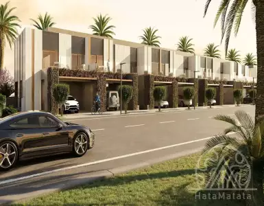 Buy in UAE for 998862€