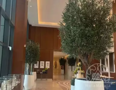 Buy in UAE for 1523265€