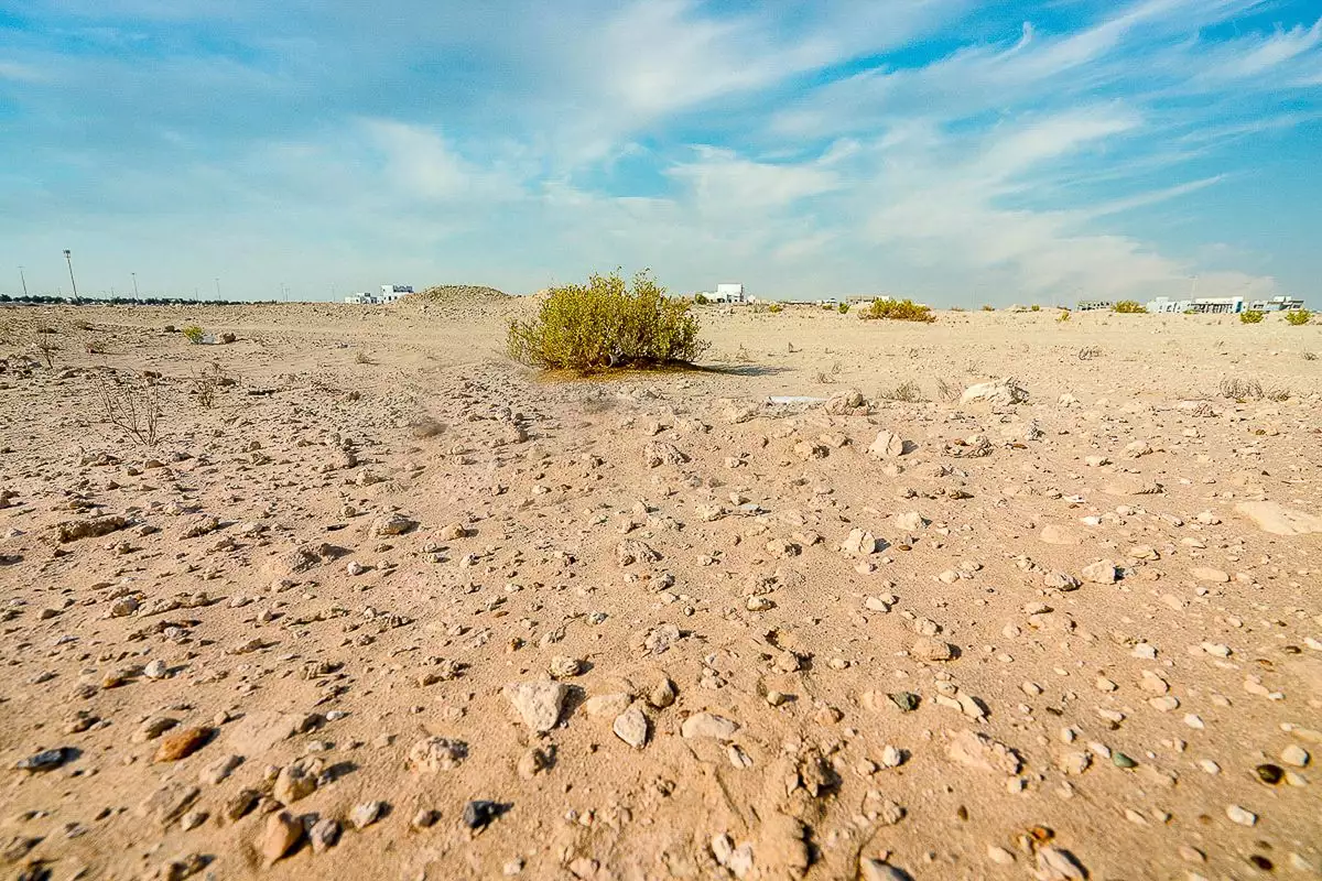 Land 100000m² in UAE, Abu Dhabi. Priced at 14629159€ rent photo-7