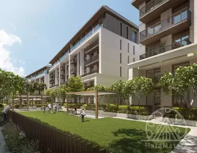 Buy in UAE for 1596204€