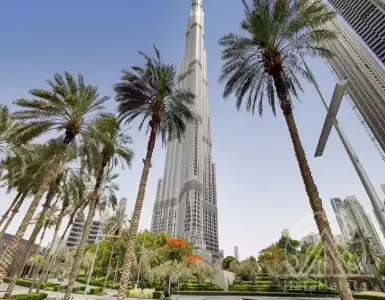 Buy in UAE for 889941€