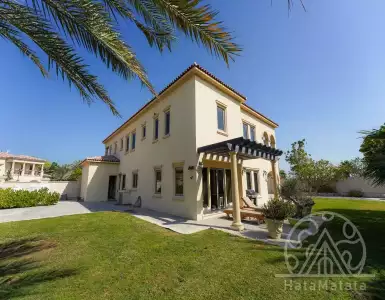 Buy in UAE for 3291561€