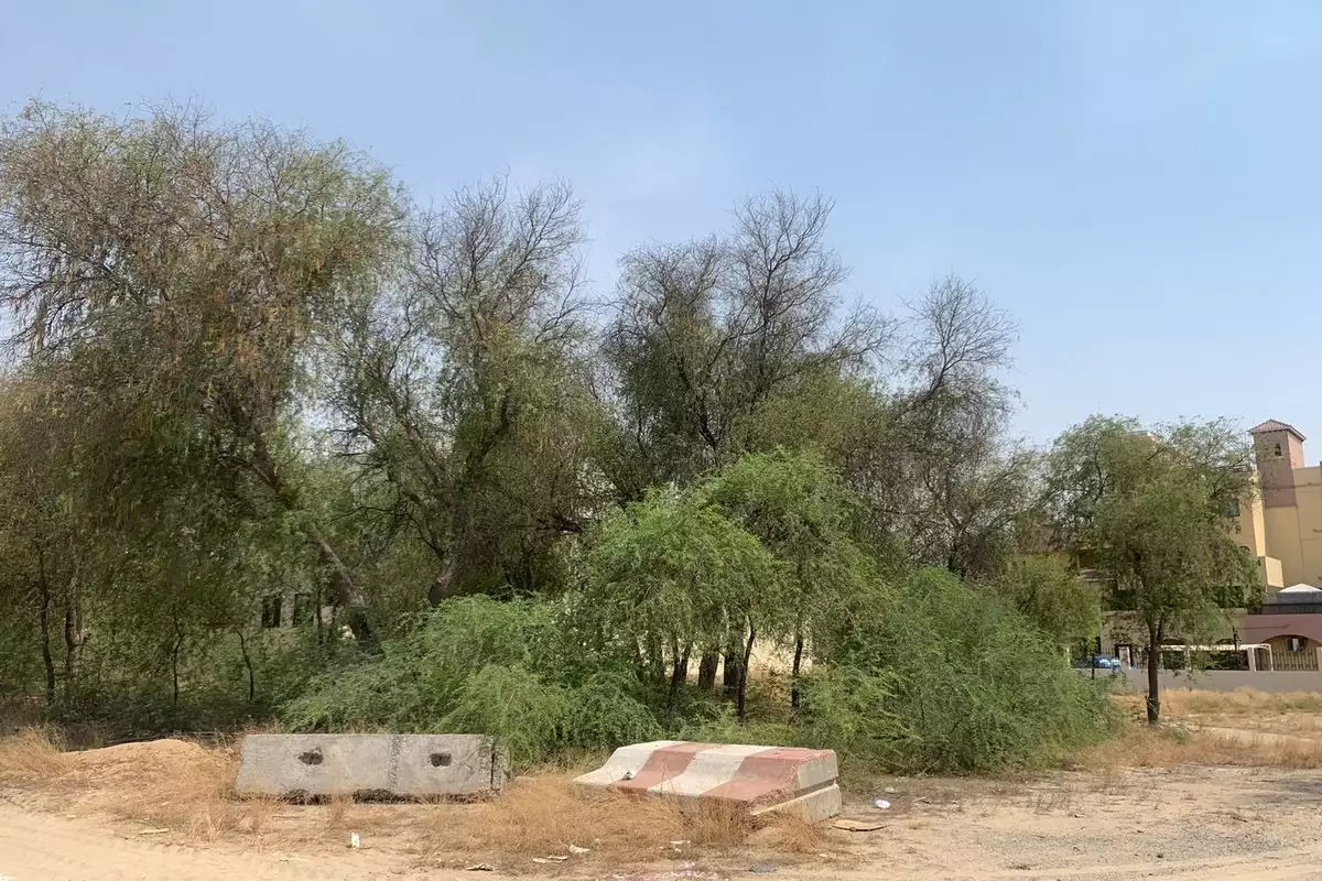 Land 1338m² in UAE, Dubai. Priced at 1401717€ rent photo-12