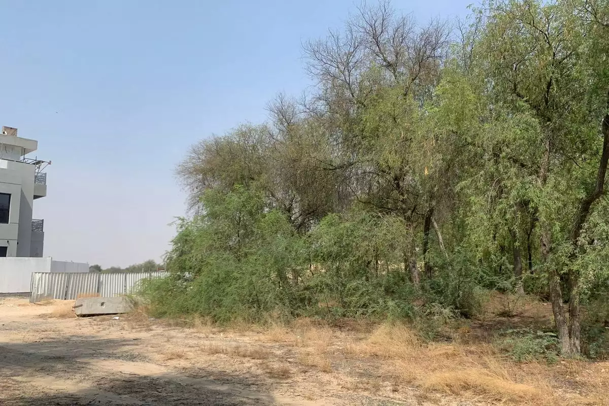 Land 1338m² in UAE, Dubai. Priced at 1401717€ rent photo-13